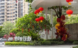 交付看远洋|中山远洋繁花里累计高品格
交付超2500套