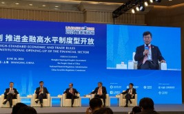 中国再保险团体
总裁庄乾志:再保险为中国金融开放连续积聚
履历
