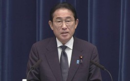 日宰衡
与北约秘书长就设立两边
互换
机密谍报
专线告竣
同等
