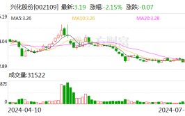 兴化股份：预计2024年上半年净利润亏损2.2亿元~2.9亿元