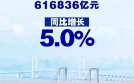 ↑5.0%