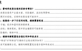 华金战略：A股缩量筑底 科技大概
继承
占优