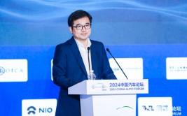 比亚迪李云飞：电动汽车是一个团体
、中国汽车品牌也是一个团体
，出海必要
携手积极
