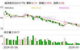 未及时披露庞大
诉讼环境威龙股份及董事长等收警示函