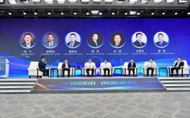 “六朵金花”支招市场，川酒企业怎样
应对市场挑衅
？