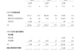 凌凯科技递表港交所：关联方及“皮包公司”助力业绩增长 策划性现金流连续三年为负