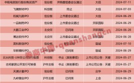 大缩水！大华地点
审IPO项目“跑单” 谁是赢家？