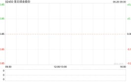 淮北绿金股份公布郑郑获委任为核数师
