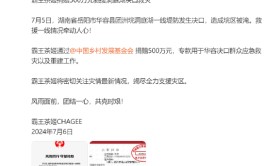 霸王茶姬捐赠500万元驰援洞庭湖决口救灾