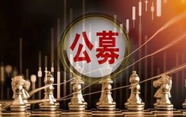 又一券商系公募，迎来新董事长！