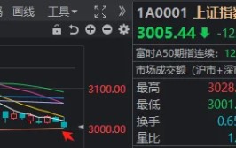 沪指险守3000点，悬着的心还在悬着