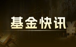 铂金 ETF 持仓量激增 44.4 万盎司，代价
上涨 20%