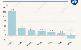 美股年中盘货
：“七巨头”分化，英伟达飙升156%，特斯拉大跌20%！尚有一只隐蔽
的“大牛股”