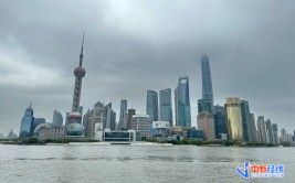 新政满月，一线都会
楼市咋样了？
