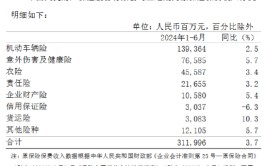中国人保：上半年累计原保险保费收入4272.83亿元
