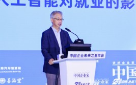 黄益平：人工智能更换庖
动力可缓解老龄化带来的打击
