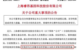 涉嫌非法策划！实控人、多位高管被采取刑事逼迫
步伐
