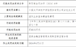 太保产险安龙支公司被罚23万元：因虚列业务宣传费套取费用