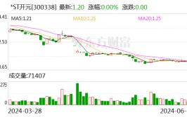 *ST开元：公司被债权人申请重整及预重整