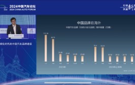 比亚迪李云飞：这一届欧洲杯“含华量”特别高