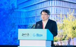吴晓华：临港新片区自设立以来新设企业数量高出10万家