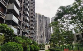 天下
法拍房挂牌量还在涨，代价
撑不住了