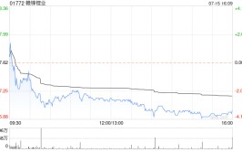 赣锋锂业控股分公司
Minera Exar拟在境外发行不高出2亿美元或其他等值货币的债券