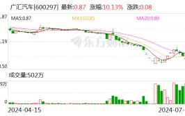 “保壳战”进入倒计时！汽车经销商巨头广汇汽车或迎来新东家