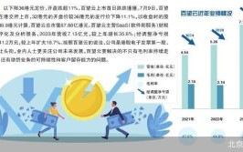 百望云破发：挣越多亏越多