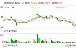 永福股份：多措并举打造电力能源综合服务商