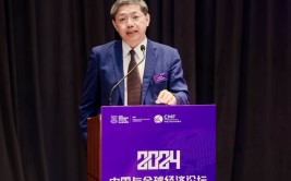 巴曙松：靠贸易计价结算去推动人民币国际化是不敷
的，重点要美满
后续配套投资