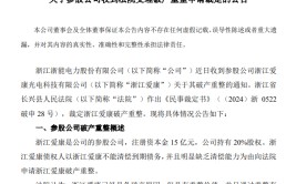 锁定退市！冻资、拍卖、停业重整......ST爱康债权人纷纷脱手
！
