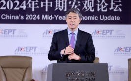 李稻葵：中心
应该多发国债置换地方债