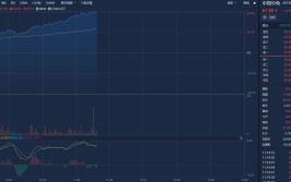 A股涨停H股涨逾14%，中国中免：或受斲丧税改革消息等多重因素影响