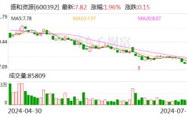 盛和资源51岁董事长辞职 下一站是中国地质科学院某研究所 副董事长暂代公司董事长职务