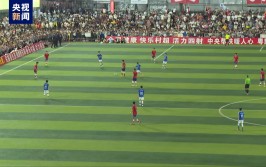 嘉奖
一头小黄牛 2024榕江“村超”冠军球队诞生