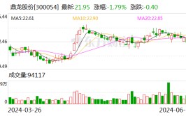 鼎龙股份：2024年上半年净利同比预增110%-130%