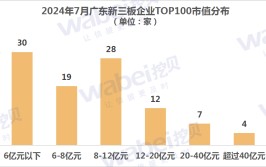 2024年7月广东新三板企业市值TOP100：27家企业正打击
北交所