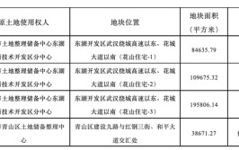 武汉发布本年
第四批拟供地项目清单，4宗地块面积42.88万平方米