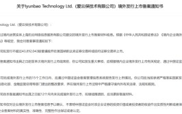 爱云保拟赴美IPO