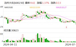 沧州大化：2024年上半年净利同比预降74.44%-76.91%