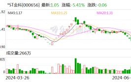 *ST金科收到中金资源
参加重整投资意向函