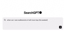 压力给到谷歌们！OpenAI发布搜刮
产物
SearchGPT