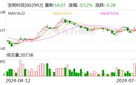 宝明科技：预计2024-0322024年上半年净利润亏损4000万元~5000万元