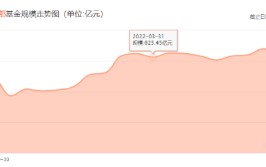 金鹰基金2024Q2非货规模缩水74亿，排名从第76位降至87位，公司总司理
为周蔚，上任两年多公司总规模不增反降