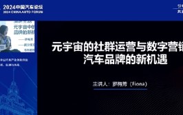 元宇宙专家罗梅芳：中国汽车品牌的近况
就一句话，小荷才露尖尖角