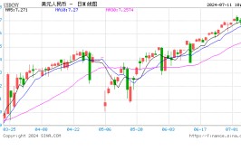 张明：下半年对人民币汇率走势不必过于悲观