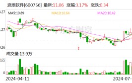 海潮
软件：预计2024年上半年亏损9000万元
