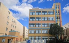 中心商信凯科技转型：产线项目一拖再拖,分公司
股东疑参股偕行
