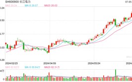 水电行业火爆！长江电力、华能水电上半年发电量两位数增长，桂冠电力净利润预增超50%